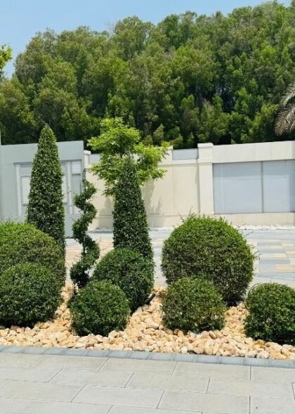 Copy of About US (1)