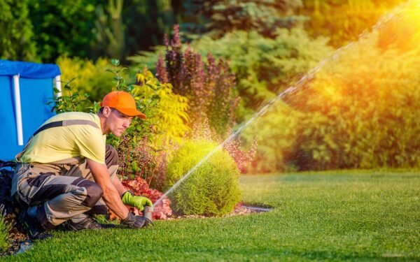 Irrigation System Installation & Maintenance – Premium Urban Landscape - Efficient Park Irrigation System Installation And Maintenance