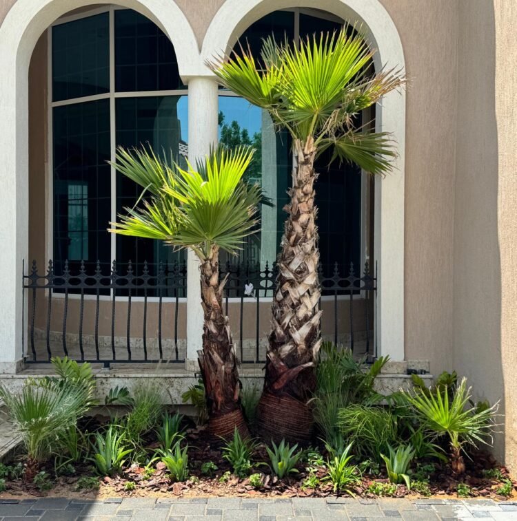 Premium Urban Landscape