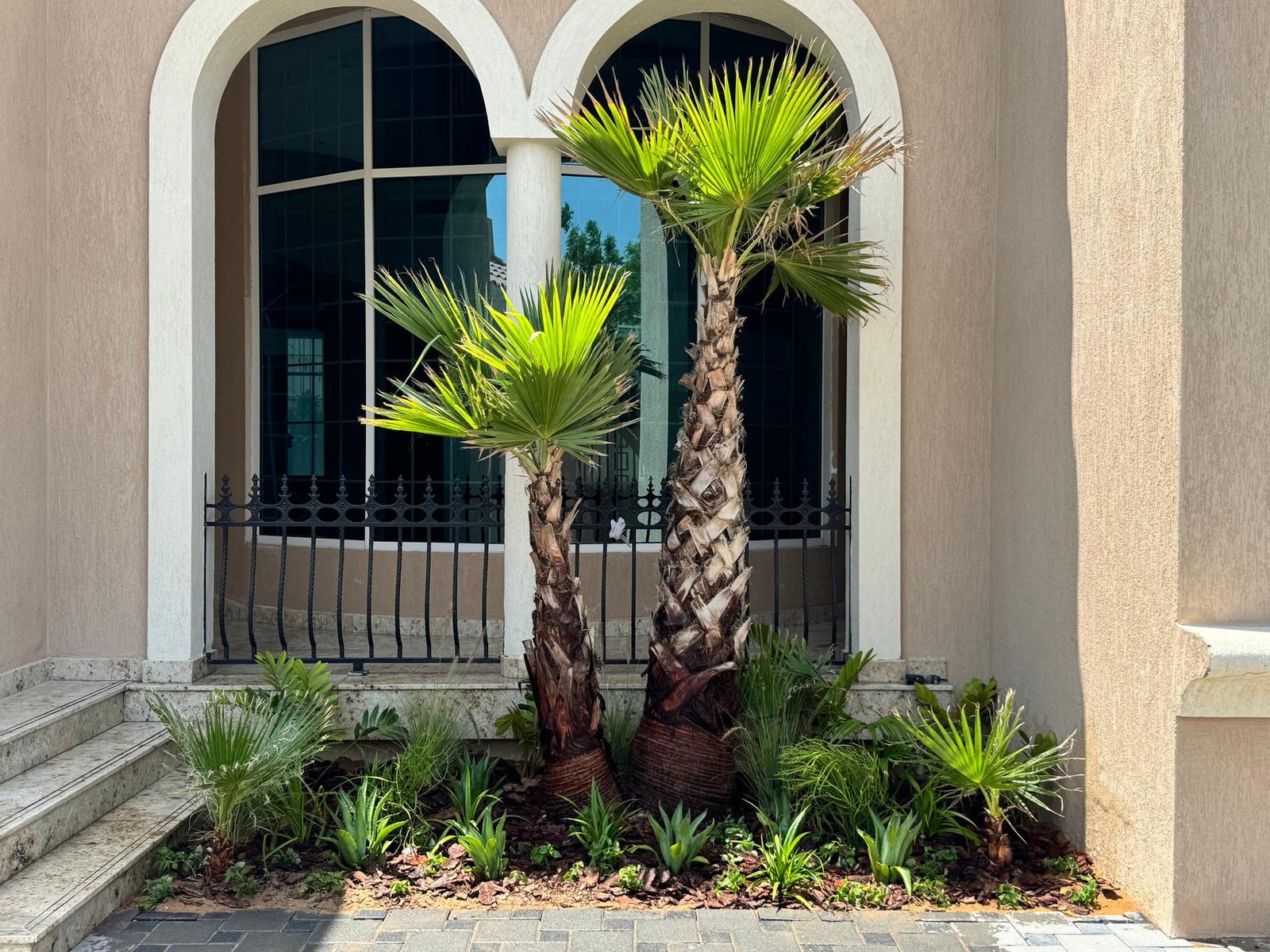 Premium Urban Landscape