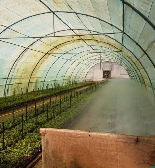 Premium Urban Landscape