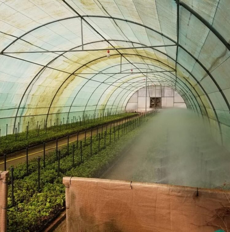 Premium Urban Landscape