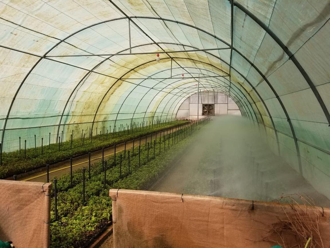 Premium Urban Landscape