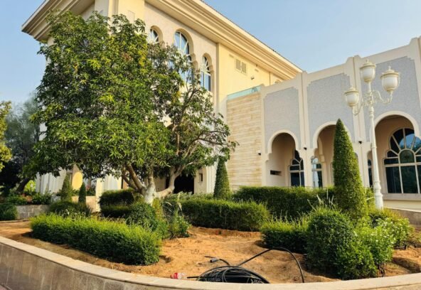 Premium Urban Landscape