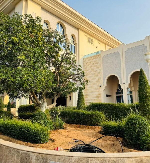 Premium Urban Landscape