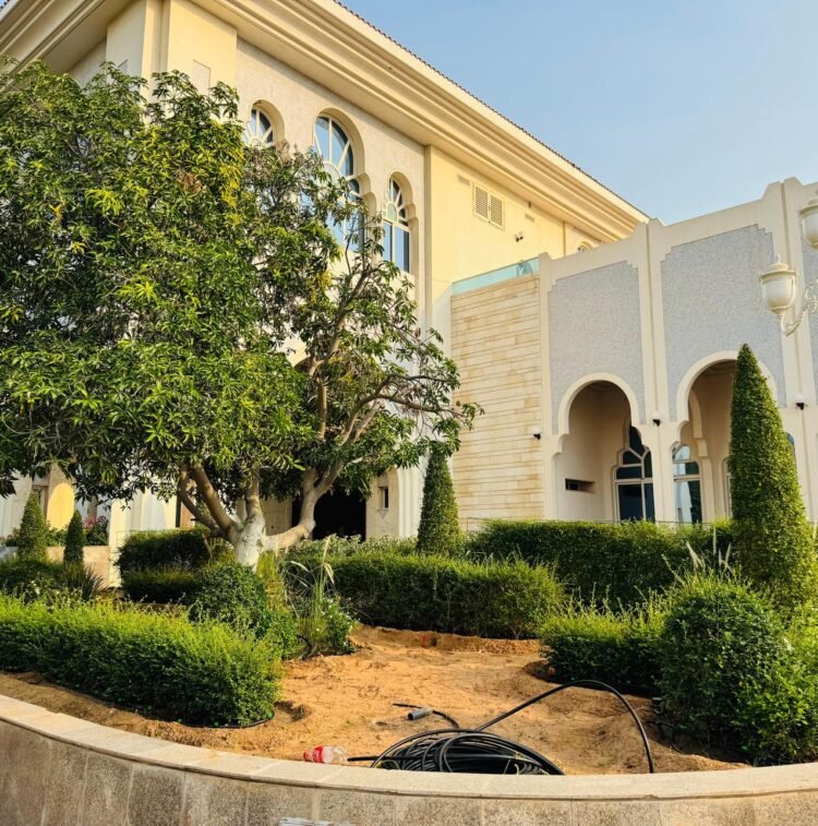 Premium Urban Landscape