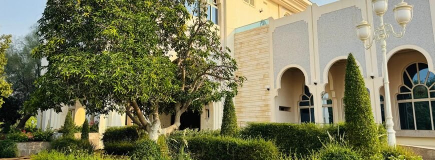 Premium Urban Landscape