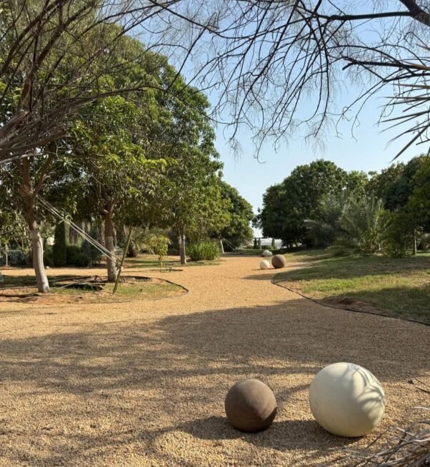 Premium Urban Landscape