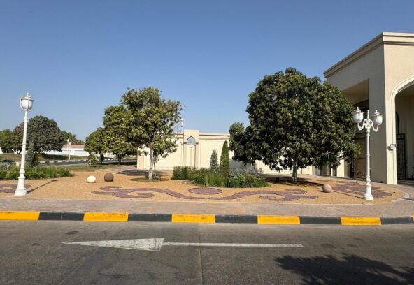 We recommend checking the soil before any plantation, as different plants require different types of soil. The proportions of potting soil, sweet sand, perlite, organic fertilizers, and inorganic fertilizers vary for ground plants and potted plants.