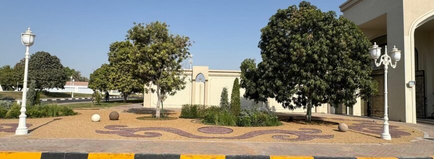 We recommend checking the soil before any plantation, as different plants require different types of soil. The proportions of potting soil, sweet sand, perlite, organic fertilizers, and inorganic fertilizers vary for ground plants and potted plants.