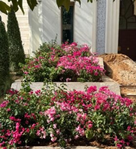 Premium Urban Landscape