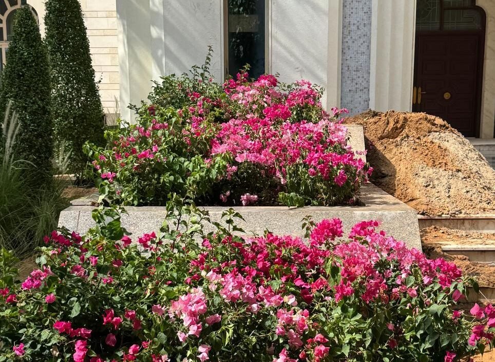 Premium Urban Landscape