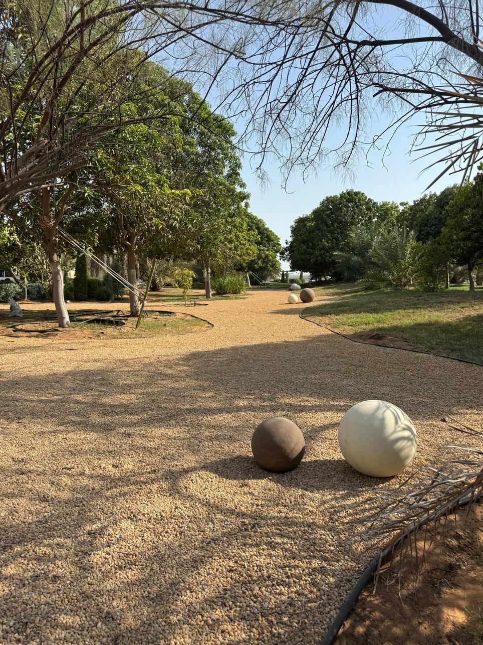 Premium Urban Landscape